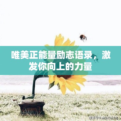 瞻云就日