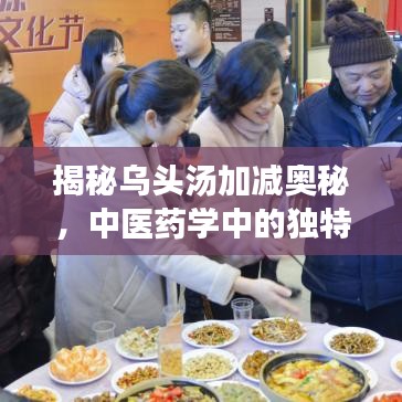 揭秘乌头汤加减奥秘，中医药学中的独特应用与功效探索
