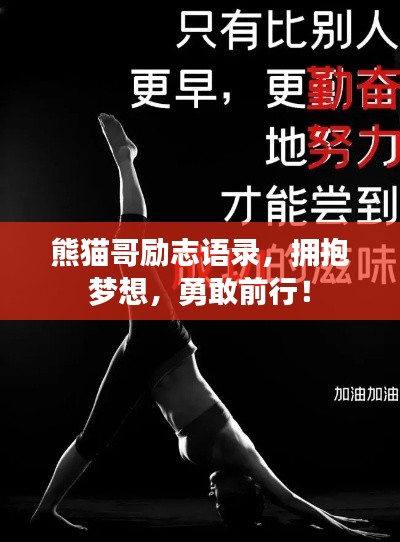 熊猫哥励志语录，拥抱梦想，勇敢前行！