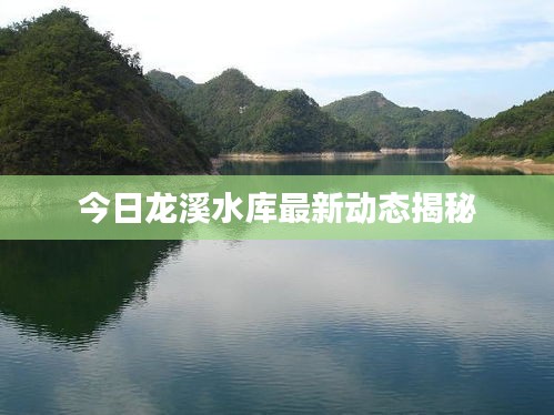 今日龙溪水库最新动态揭秘
