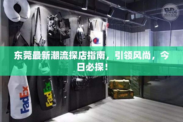 东莞最新潮流探店指南，引领风尚，今日必探！