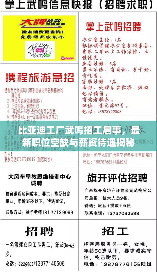 比亚迪工厂武鸣招工启事，最新职位空缺与薪资待遇揭秘