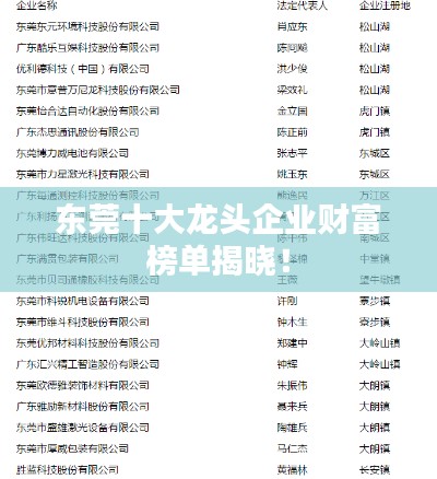 东莞十大龙头企业财富榜单揭晓！