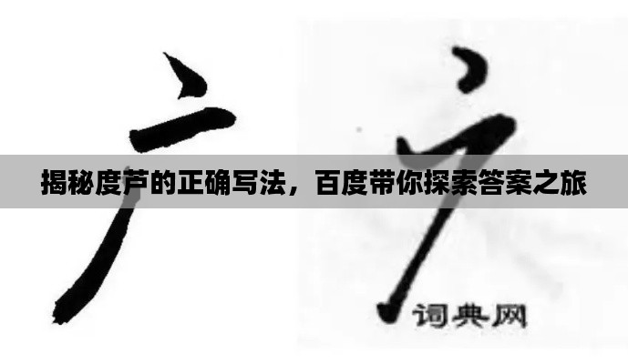 揭秘度芦的正确写法，百度带你探索答案之旅