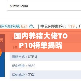 国内养猪大佬TOP10榜单揭晓