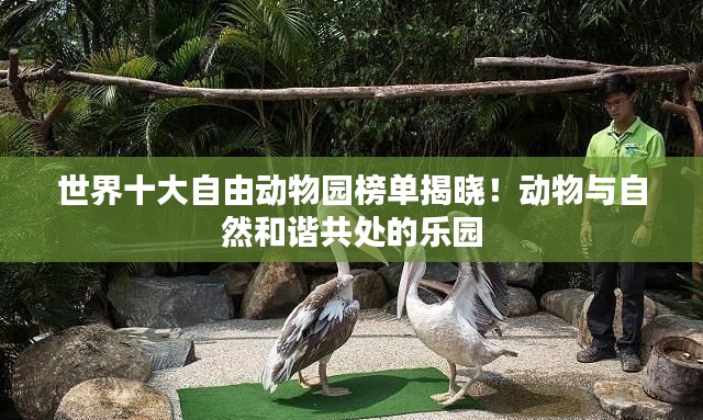 世界十大自由动物园榜单揭晓！动物与自然和谐共处的乐园