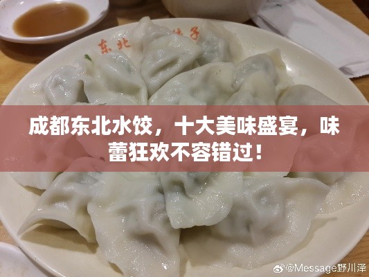 成都东北水饺，十大美味盛宴，味蕾狂欢不容错过！