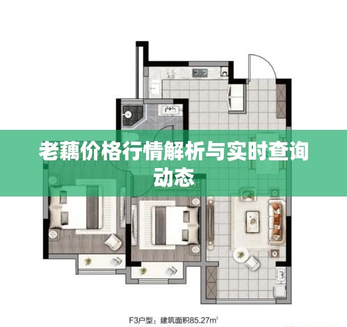 老藕价格行情解析与实时查询动态
