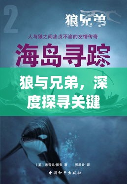 狼与兄弟，深度探寻关键词背后的故事传奇