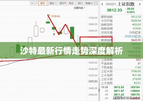 沙特最新行情走势深度解析