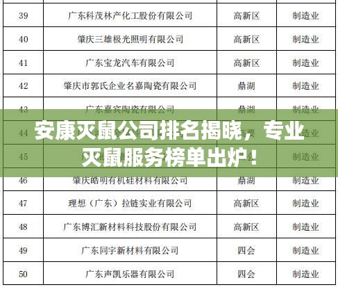 安康灭鼠公司排名揭晓，专业灭鼠服务榜单出炉！