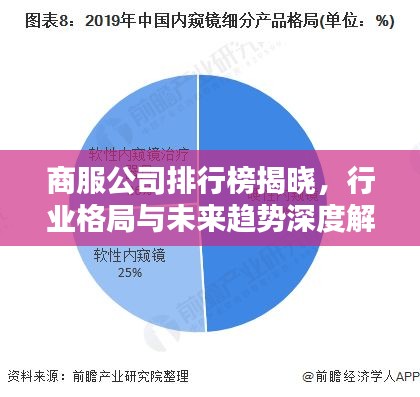 商服公司排行榜揭晓，行业格局与未来趋势深度解析
