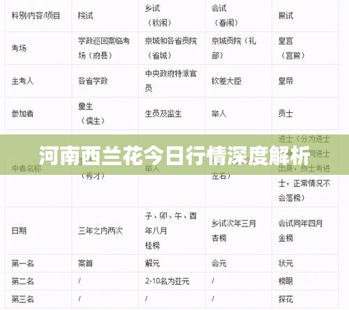 河南西兰花今日行情深度解析