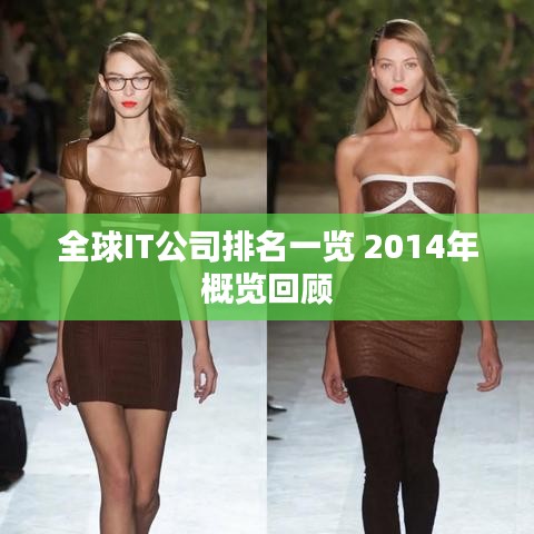 不畏权贵