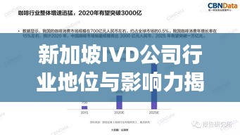 新加坡IVD公司行业地位与影响力揭秘，排名解析及市场洞察