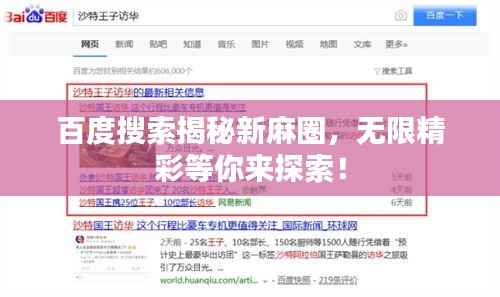 百度搜索揭秘新麻圈，无限精彩等你来探索！