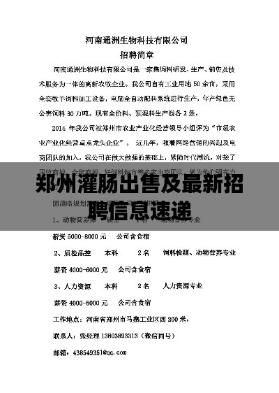 郑州灌肠出售及最新招聘信息速递