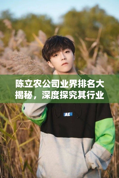 陈立农公司业界排名大揭秘，深度探究其行业地位与影响力