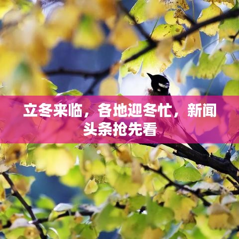 立冬来临，各地迎冬忙，新闻头条抢先看