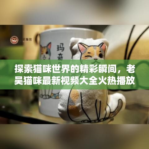 探索猫咪世界的精彩瞬间，老吴猫咪最新视频大全火热播放中