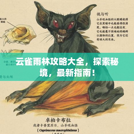 云雀雨林攻略大全，探索秘境，最新指南！