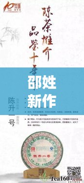 邵姓新作揭秘，不容错过的精彩作品！