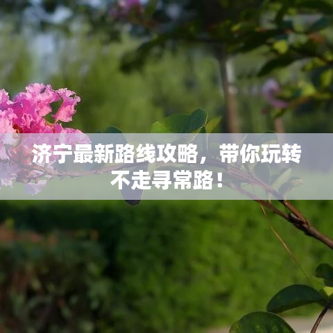 济宁最新路线攻略，带你玩转不走寻常路！