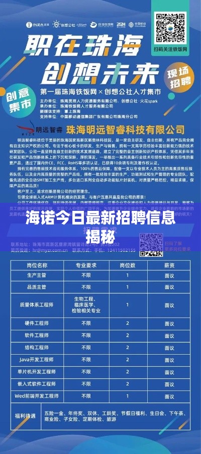海诺今日最新招聘信息揭秘