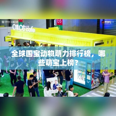 全球国宝动物萌力排行榜，哪些萌宝上榜？