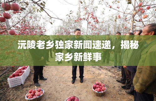 沅陵老乡独家新闻速递，揭秘家乡新鲜事