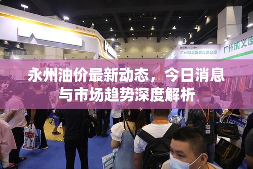 永州油价最新动态，今日消息与市场趋势深度解析