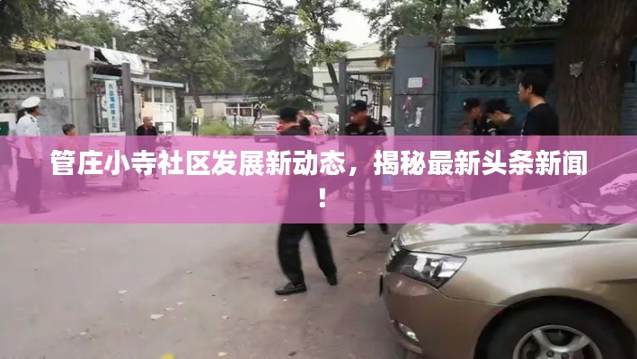 管庄小寺社区发展新动态，揭秘最新头条新闻！