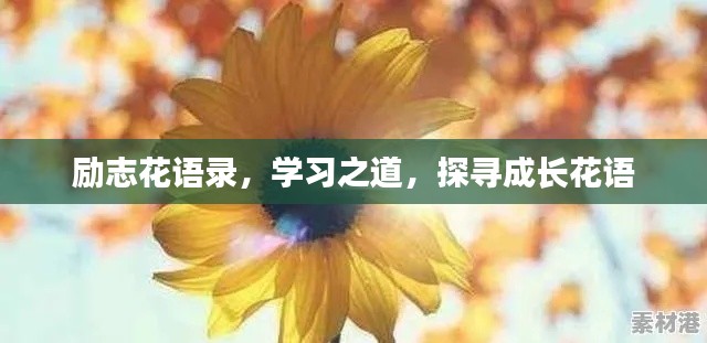 地老天荒
