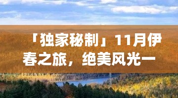 「独家秘制」11月伊春之旅，绝美风光一网打尽！