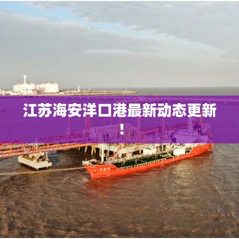 江苏海安洋口港最新动态更新！