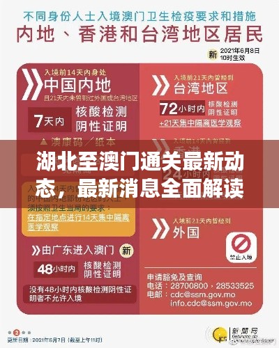 湖北至澳门通关最新动态，最新消息全面解读
