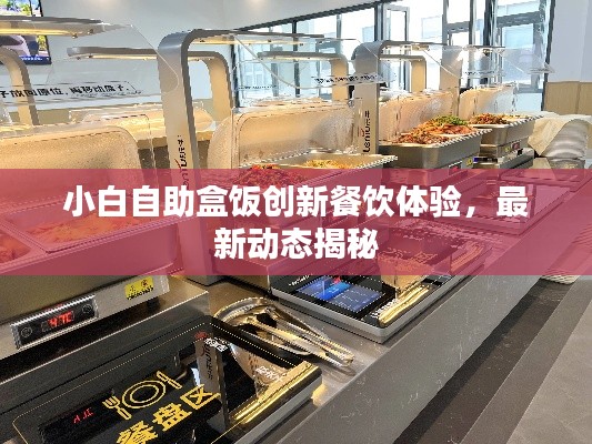小白自助盒饭创新餐饮体验，最新动态揭秘