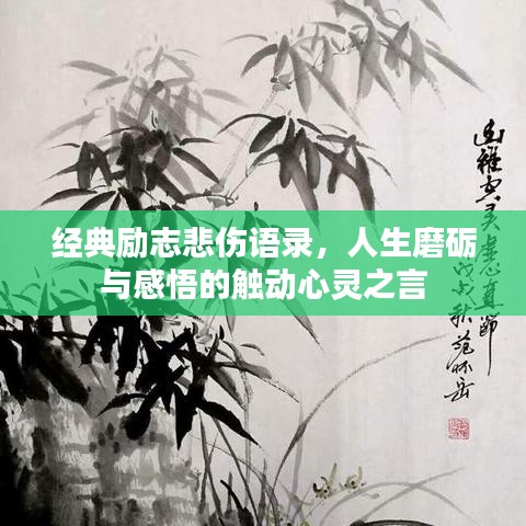 经典励志悲伤语录，人生磨砺与感悟的触动心灵之言