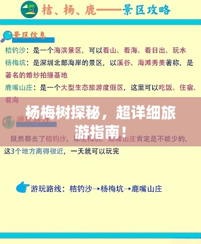 杨梅树探秘，超详细旅游指南！