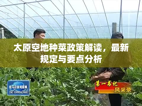 太原空地种菜政策解读，最新规定与要点分析