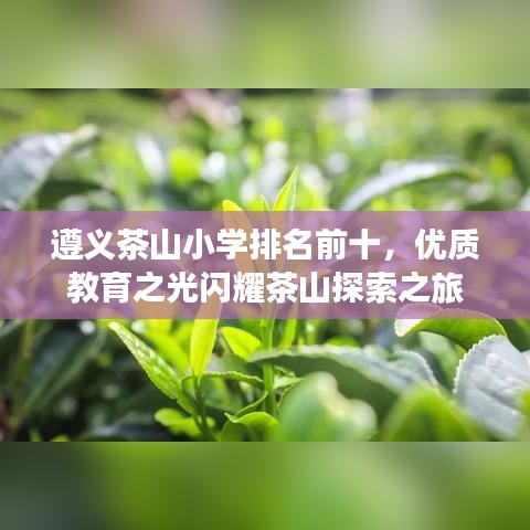 遵义茶山小学排名前十，优质教育之光闪耀茶山探索之旅