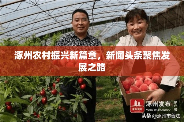 涿州农村振兴新篇章，新闻头条聚焦发展之路