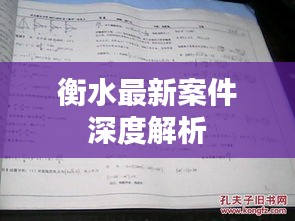 衡水最新案件深度解析