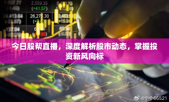 今日股帮直播，深度解析股市动态，掌握投资新风向标