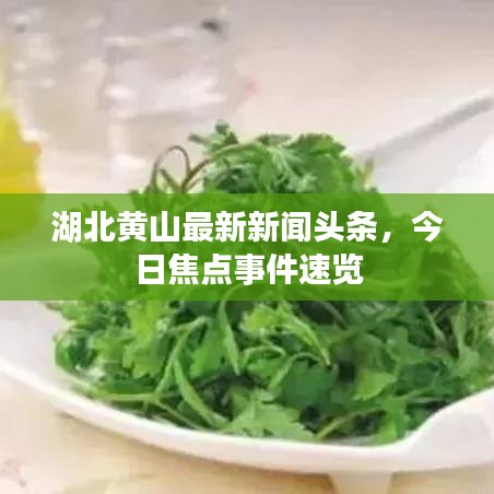 湖北黄山最新新闻头条，今日焦点事件速览
