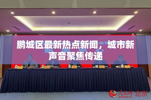 鹏城区最新热点新闻，城市新声音聚焦传递