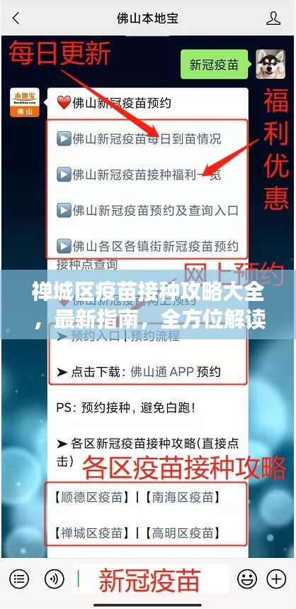 禅城区疫苗接种攻略大全，最新指南，全方位解读