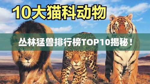 丛林猛兽排行榜TOP10揭秘！
