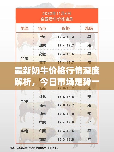 最新奶牛价格行情深度解析，今日市场走势一网打尽