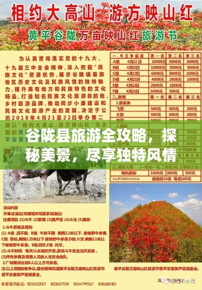 秀外慧中